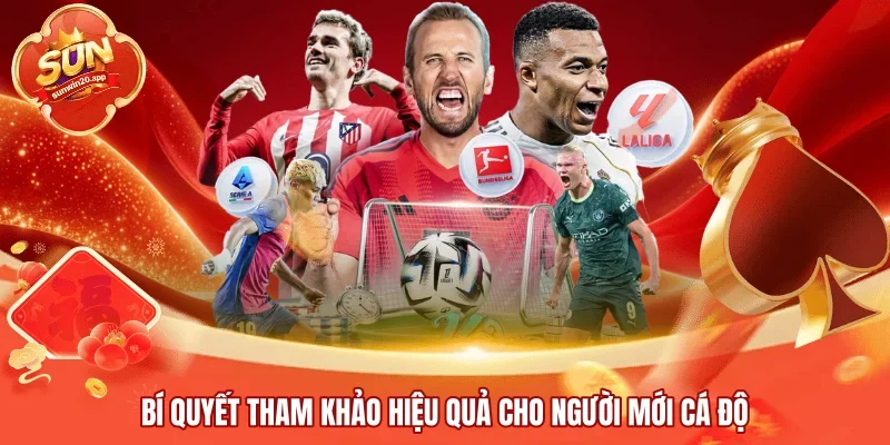 Bí quyết tham khảo hiệu quả cho người mới cá độ